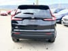 7 thumbnail image of  2026 Honda CR-V Sport