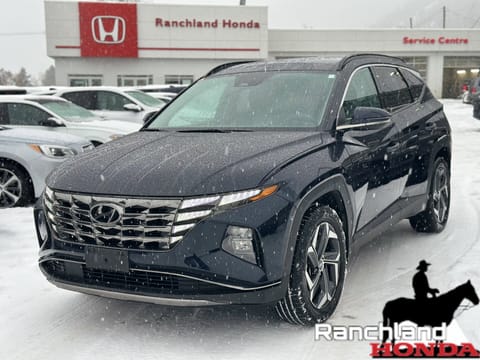 1 image of 2022 Hyundai Tucson Hybrid Luxury