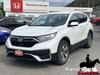 2021 Honda CR-V LX 2WD