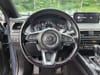 26 thumbnail image of  2023 Mazda CX-9 Carbon Edition