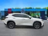 6 thumbnail image of  2024 Lexus NX 350 Base