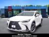 2024 Lexus NX 350 Base