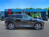 6 thumbnail image of  2024 Nissan Murano Platinum