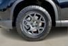 13 thumbnail image of  2025 Honda Pilot TrailSport