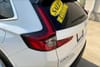 31 thumbnail image of  2024 Honda CR-V EX-L