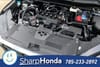 31 thumbnail image of  2026 Honda CR-V EX