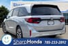 3 thumbnail image of 2026 Honda Odyssey EX-L