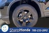 12 thumbnail image of 2026 Honda Ridgeline Black Edition