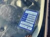 11 thumbnail image of  2007 Land Rover Range Rover HSE