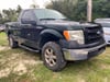 1 placeholder image of  2013 Ford F-150 XL