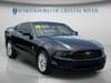15 thumbnail image of  2014 Ford Mustang V6 Premium