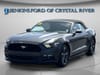 2 thumbnail image of  2016 Ford Mustang V6