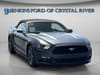 5 thumbnail image of  2016 Ford Mustang V6