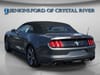 11 thumbnail image of  2016 Ford Mustang V6