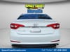 10 thumbnail image of  2016 Hyundai Sonata SE
