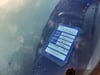 8 thumbnail image of  2017 Honda CR-V EX