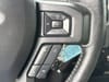 41 thumbnail image of  2019 Ford F-150 XLT