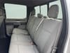 29 thumbnail image of  2019 Ford F-150 XLT