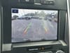 35 thumbnail image of  2019 Ford F-150 XLT