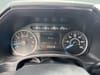 43 thumbnail image of  2019 Ford F-150 XLT