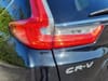 35 thumbnail image of  2019 Honda CR-V EX