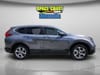 11 thumbnail image of  2019 Honda CR-V EX