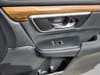 17 thumbnail image of  2019 Honda CR-V EX