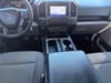 15 thumbnail image of  2020 Ford F-150 XLT