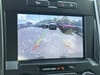 30 thumbnail image of  2020 Ford F-150 XLT