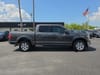 13 thumbnail image of  2020 Ford F-150 XLT