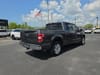 10 thumbnail image of  2020 Ford F-150 XLT