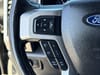41 thumbnail image of  2020 Ford F-250SD Platinum