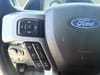 34 thumbnail image of  2020 Ford F-350SD Platinum