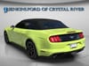13 thumbnail image of  2020 Ford Mustang EcoBoost Premium