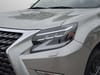 14 thumbnail image of  2020 Lexus GX 460