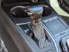 30 thumbnail image of  2020 Lexus UX 250h Base