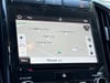 32 thumbnail image of  2020 Subaru Ascent Touring