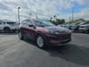 16 thumbnail image of  2021 Ford Escape SE Hybrid