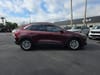 13 thumbnail image of  2021 Ford Escape SE Hybrid