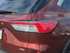 19 thumbnail image of  2021 Ford Escape SE Hybrid