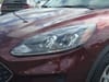 18 thumbnail image of  2021 Ford Escape SE Hybrid