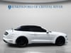 3 thumbnail image of  2021 Ford Mustang EcoBoost Premium