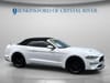 2 thumbnail image of  2021 Ford Mustang EcoBoost Premium