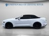 10 thumbnail image of  2021 Ford Mustang EcoBoost Premium