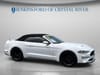 2 thumbnail image of  2021 Ford Mustang EcoBoost Premium