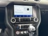 30 thumbnail image of  2021 Ford Mustang EcoBoost Premium