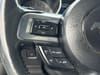38 thumbnail image of  2021 Ford Mustang EcoBoost Premium