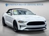15 thumbnail image of  2021 Ford Mustang EcoBoost Premium
