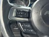 38 thumbnail image of  2021 Ford Mustang EcoBoost Premium