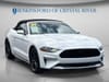 15 thumbnail image of  2021 Ford Mustang EcoBoost Premium